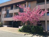 Beautiful Studio - Geneva Airport - B&B Ferney-Voltaire