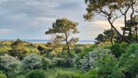 Surf - Holiday Home at Saunton - Ferienwohnung