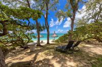 BlueMoon Studio on the Beach! - B&B
