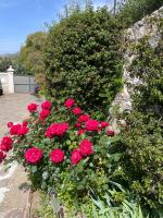 Les Trèfles - B&B Hyères