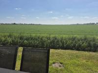 Ferienhäuser Freiblick - B&B Ditzumerverlaat