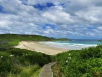 Casa Lumi Walk to Marina & Beach - B&B Shellharbour