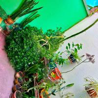 habitación acogedora, con terraza verde! - B&B Cochabamba