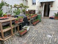 Apartmán Na Kopečku v srdci Znojma - B&B Znojmo