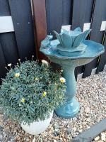 Ferienzimmer Waldzauber - B&B Borkwalde