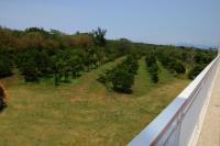 Chambre Double avec Balcon - Vue sur Mer