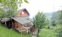 Cabana Dor De Munte - Bed and Breakfast Muntele Rece