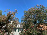 Helles 1-Raum Studio mit eigenem Bad & Terasse - B&B