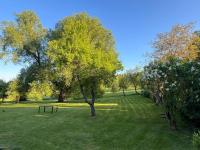 Ruhige Gartenwohnung - B&B