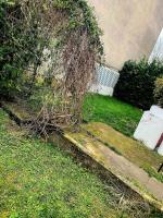 Grand pavillon avec jardin - Bed and Breakfast