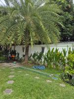 City garden olympus - B&B Ban Nong Thaen