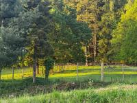 Fewo OsWALD - B&B Ettenheim