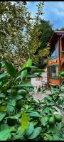 Dere Evi - B&B Rize