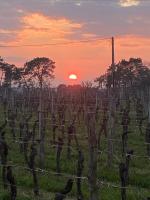 A l'Orée des Vignes - B&B Sauveterre-la-Lémance