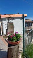 Sa Mesaluna Naturhouse - B&B