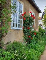 Haus Kroneck-Salis Ferienwohnung - B&B Bad Iburg