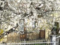 Casa Seez - Ferienwohnung Saint-Pierre