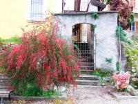 Villa Ca' Vegia - B&B Stresa