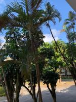 Apê Retrô com Wi-Fi e Vaga - 350 m da Praia da Enseada - B&B Guarujá