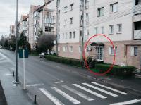 Jazmin Harmony Apartment - B&B Odorheiu Secuiesc