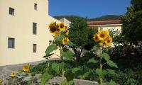Il Giardino di Julia B&B - B&B