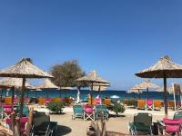 Cozy lower ground floor apartment by Sea and Tram - B&B Athens