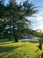 Les Mourguettes maison familiale avec piscine et garage sur 2000 m2 de terrain en campagne - Chambres d'hôtes Carpentras