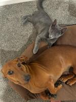 Abbey Caves Countryscape - B&B Distretto di Whangarei