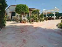 Cactus Living - B&B Ialysós