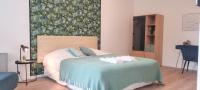Grand Studio avec Terrasse et Parking - Vieux- Lille - Blaise - B&B Lille