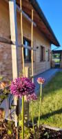 Dasis home - B&B Innerschwand