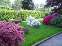 Airone Monvalle Lago Maggiore - B&B Monfol