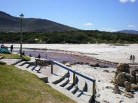 Birdsong - Bed and Breakfast Hermanus