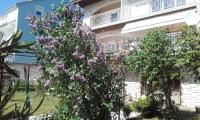 Apartment Lucija - B&B