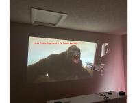 Mahogany Loft Retreat - 3 Story Home - B&B Calgary