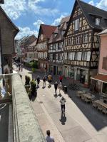 Magnifique T2-Chez François et Kamila - Centre historique- Parking privé 50m de l'appartement- balcon avec vue - B&B Colmar