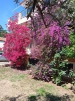 Paulina's Little House - B&B Politiká