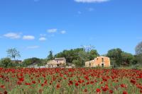 B&B Aspiran - Maison Abricot et Orange - Bed and Breakfast Aspiran