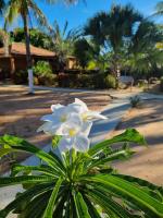 Pousada Jardim da Lagoa-BA - B&B
