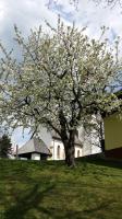 Ferienwohnung Linde - B&B Faak am See