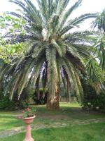 La Palma - Ferienwohnung Magliano in Toscana