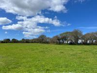 Kilden Hut - Perranwell Station - B&B Perranwell