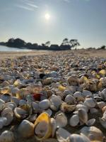 250 m des plages - Jardin - WIFI - Velos - - B&B Carnac