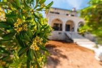 Holiday home in Supetar - Ferienwohnung Supetar