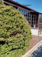 Domki na Stoku Nadole - B&B Nadole