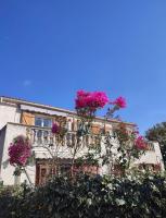 Jolie location chez Philippe & Karine - B&B Linguizzetta