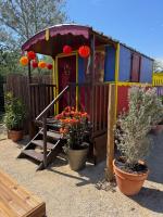 Les Roulottes de Camarkas - B&B Saintes-Maries-de-la-Mer
