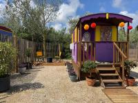 Les Roulottes de Camarkas - B&B Saintes-Maries-de-la-Mer