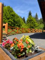 Wellness Chalupa Krajanka - B&B Nový Hrozenkov