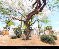 Cactus Guest Suite - B&B Chandler